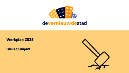 DVS-werkplan 2025 