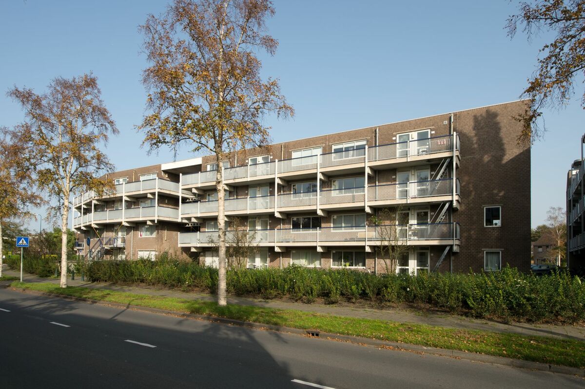 Duurzaam Onderhoud Met Maatwerk: Thorbeckehof En Korvezeestraat ...