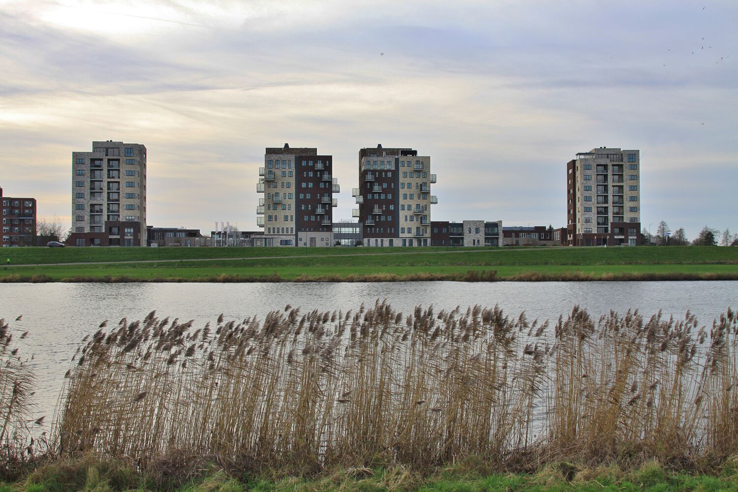 Cantheelen aan de maas