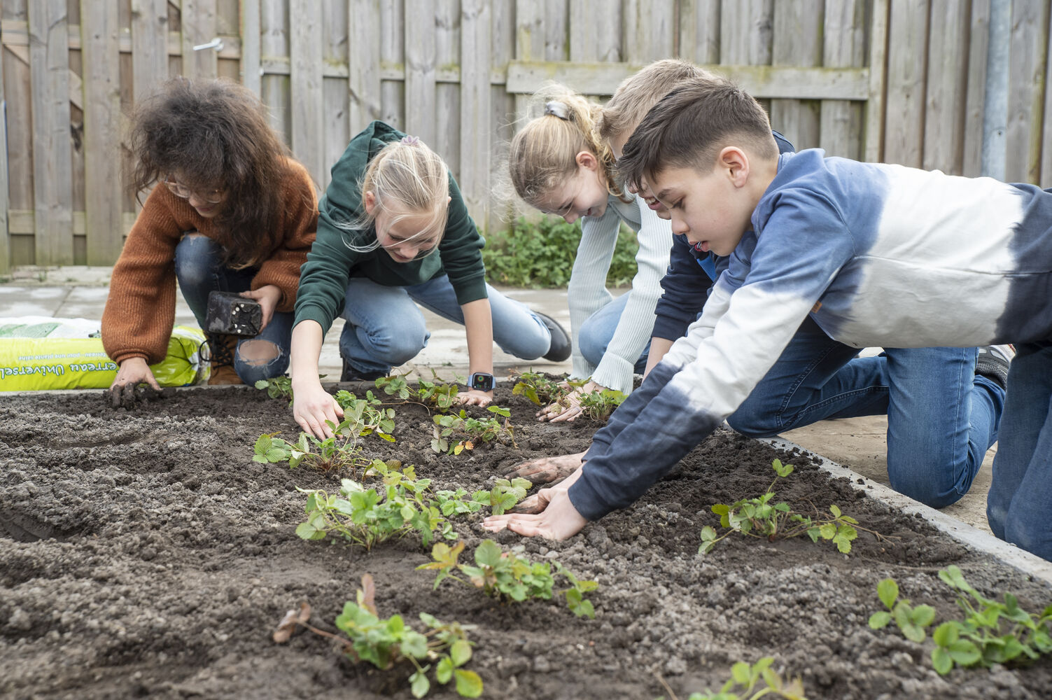 Een beeld van leerlingen van CBS de Bron aan de slag in een tuin.