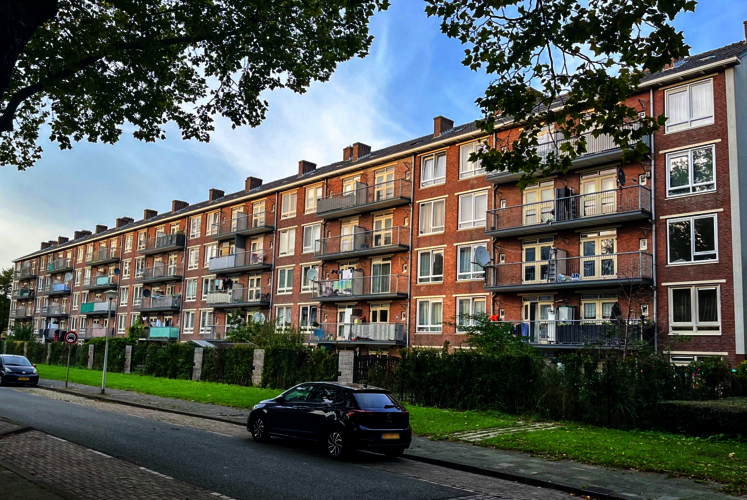 De Notweg in de Wildemanbuurt, achtergevel met tuinen